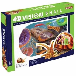 4D Master Vision Toy Snail Anatomy Model - 4D Master Vision