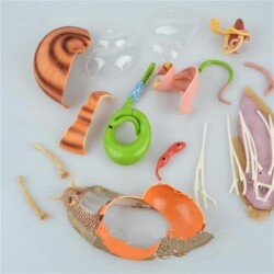 4D Master Vision Toy Snail Anatomy Model - 2