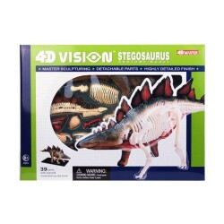 4D Master Vision Toy Stegosaurus Anatomy Model 4Dm-25095 - 1