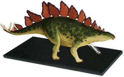 4D Master Vision Toy Stegosaurus Anatomy Model 4Dm-25095 - 3
