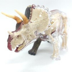 4D Master Vision Toy Triceratops Anatomy Model 4Dm-26093 - 2