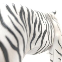 4D Master Vision Toy White Tiger Anatomy Model - 8