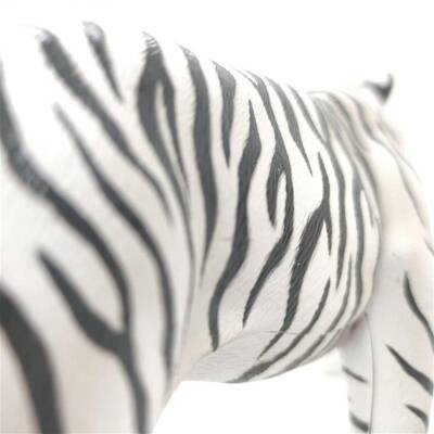 4D Master Vision Toy White Tiger Anatomy Model - 8