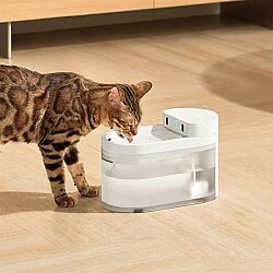 Airpet Catlink Aı Water Fountain-Wireless Cl Pure 3 Yapay Zeka Destekli Kedi ve Küçük Irk Köpekler için Kablosuz Otomatik Su Kabı 2,3lt-Wb-01 - 4