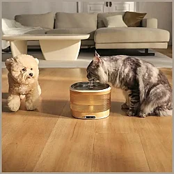 Airpet Fountain Cordless Version Kedi ve Köpekler İçin Kablosuz Otomatik Su Kabı Wh287358 - 5
