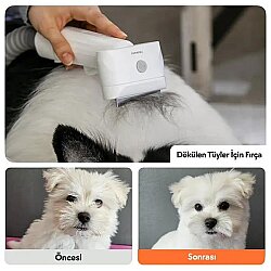Airpet Pet Grooming Kit S1 Pro Kedi & Köpek Tıraş Makinesi - 7