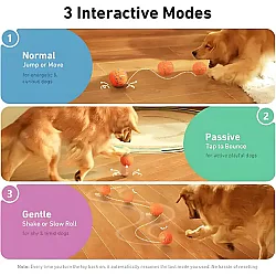 Airpet Wicked Ball Air Cwq01-O Akıllı İnteraktif Köpek Oyuncağı Turuncu - 7