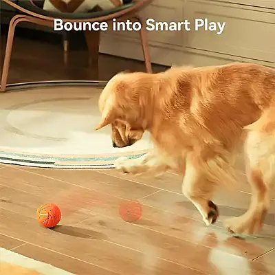 Airpet Wicked Ball Air Cwq01-O Akıllı İnteraktif Köpek Oyuncağı Turuncu - 4