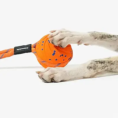Airpet Wicked Ball Air Rope Cwq03-O Akıllı İnteraktif İpli Köpek Oyun Topu Turuncu - 3