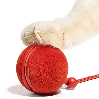 Airpet Wicked Ball Duo 2 Cwj04 İnteraktif Şarjlı Kedi Oyun Topu Kırmızı - 4