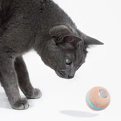 Airpet Wicked Ball M3 Cwq02 İnteraktif Şarjlı Kedi Oyun Topu Krem - 3