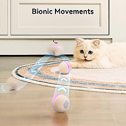 Airpet Wicked Ball M3 Cwq02 İnteraktif Şarjlı Kedi Oyun Topu Krem - 6