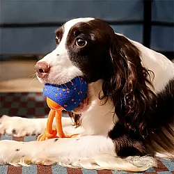 Airpet Wicked Ball Rolly Cwq07-Bl Şarjlı İnteraktif Köpek Oyun Topu Mavi - 2