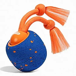 Airpet Wicked Ball Rolly Cwq07-Bl Şarjlı İnteraktif Köpek Oyun Topu Mavi - 1