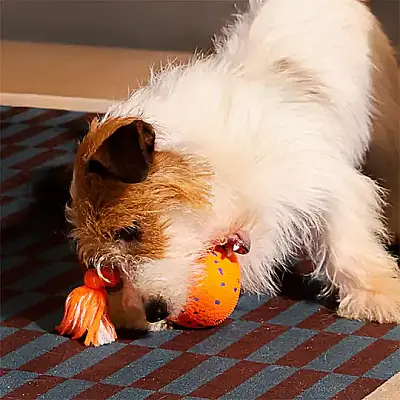 Airpet Wicked Ball Rolly Cwq07-O Şarjlı İnteraktif Köpek Oyun Topu Turuncu - 2