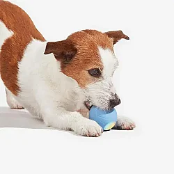 Airpet Wicked Ball Se C1221-Bl Şarjlı Akıllı İneraktif Köpek Oyun Topu Mavi Small - 4