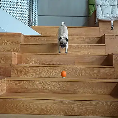 Airpet Wicked Ball Se C1221-O Şarjlı Akıllı İneraktif Köpek Oyun Topu Turuncu Small - 4