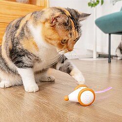 Airpet Wicked Mouse C0821-O Şarjlı Akıllı İneraktif Kedi Fare Oyuncağı, Turuncu - 4