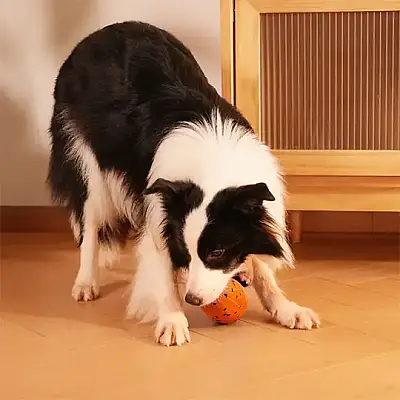 Airpet Wicked Rugby Cwq06-O Şarjlı Hareketli Köpek Oyun Topu Turuncu - 3