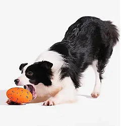 Airpet Wicked Rugby Cwq06-O Şarjlı Hareketli Köpek Oyun Topu Turuncu - 4