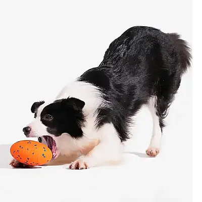 Airpet Wicked Rugby Cwq06-O Şarjlı Hareketli Köpek Oyun Topu Turuncu - 4