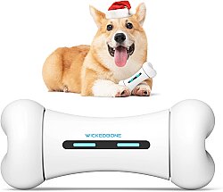 Airpet Wickedbone C1702 İnteraktif Kemik Köpek Oyuncağı - 4