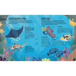 Animals - The Ultimate Atlas - New Edition - 3