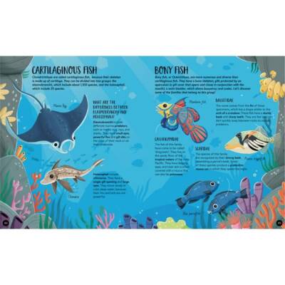 Animals - The Ultimate Atlas - New Edition - 3