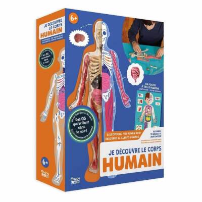 Auzou Toys Exploring The Human Body Poster - Model And Book - 1