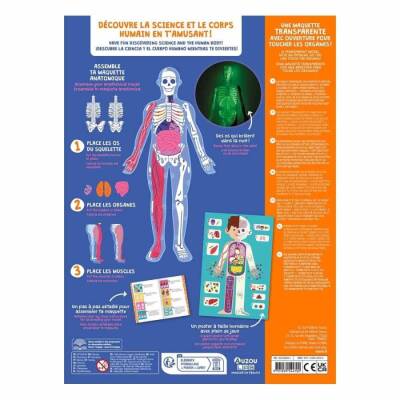 Auzou Toys Exploring The Human Body Poster - Model And Book - 3