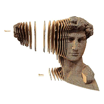 Cartonic 3D Puzzle - Davıd - 7