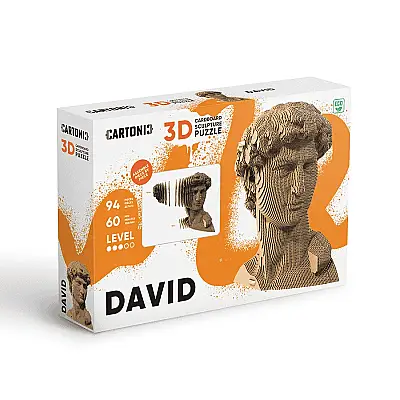 Cartonic 3D Puzzle - Davıd - 10