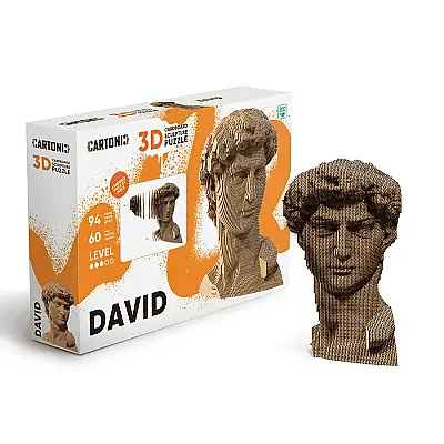 Cartonic 3D Puzzle - Davıd - 11