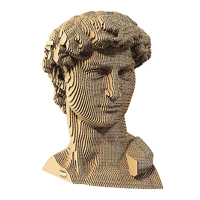Cartonic 3D Puzzle - Davıd - 1