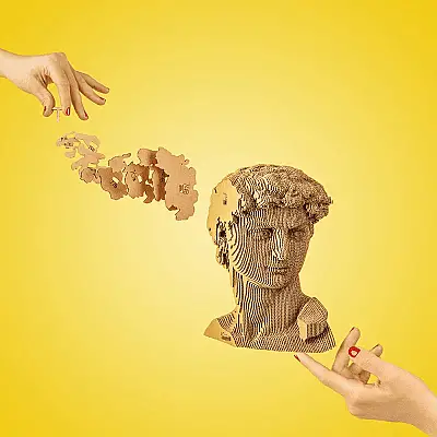 Cartonic 3D Puzzle - Davıd - 5