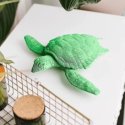Cartonic 3D Puzzle - Turtle - 2