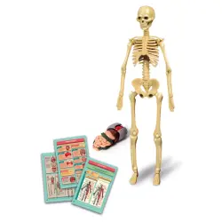 Clementoni My First Discoveries (Human Anatomy) 64297 - 4