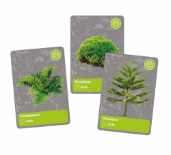 Clementoni Science And Play - A History Of Life On Earth 64839 - 7