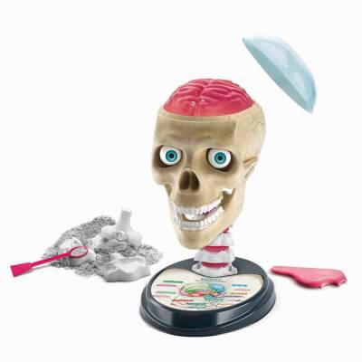 Clementoni Science & Play Crazy Anatomy 64322 - 4