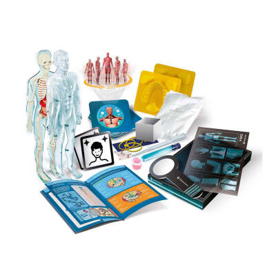 Clementoni Science & Play - Super Anatomy Cle-64474 - 2