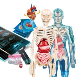 Clementoni Science & Play - Super Anatomy Cle-64474 - 3