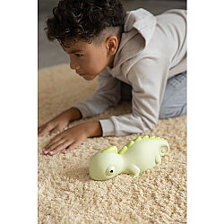 Dhink Chameleon Night Lamp Dhink372-02 - 5