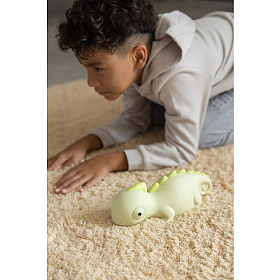 Dhink Chameleon Night Lamp Dhink372-02 - 5