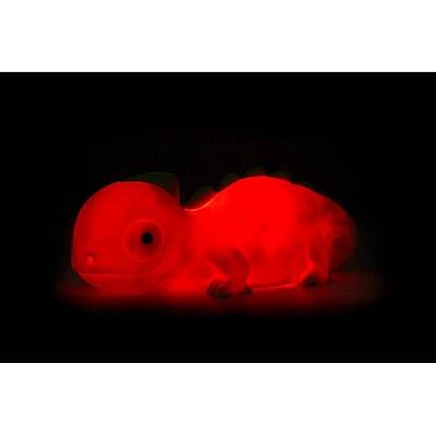 Dhink Chameleon Night Lamp Dhink372-02 - 4