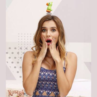 Dhink Parrot Head Massager Dhink346-02 - 3