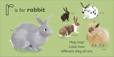 Dorling Kindersley Dorling Kindersley R is For Rabbit - 2