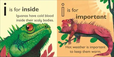 Dorling Kindersley Prh I ?S For Iguana - 2