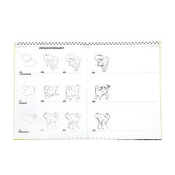 Eeboo Learn to Draw - Dinosaurs - 3