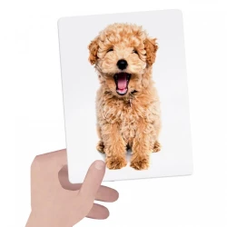 Headu Flashcards Tactile Montessori Mu23738 - 2