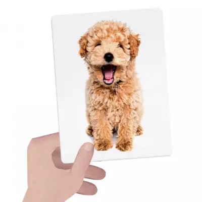 Headu Flashcards Tactile Montessori Mu23738 - 2